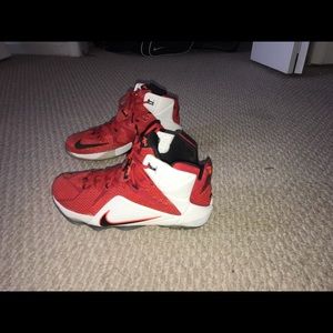 Lebron 12 lion hearts